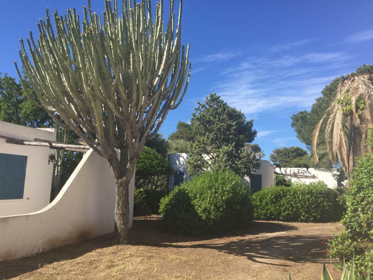 Residenza Gherly Aparthotel Capo Vaticano Kültér fotó